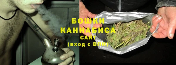 винт Инсар