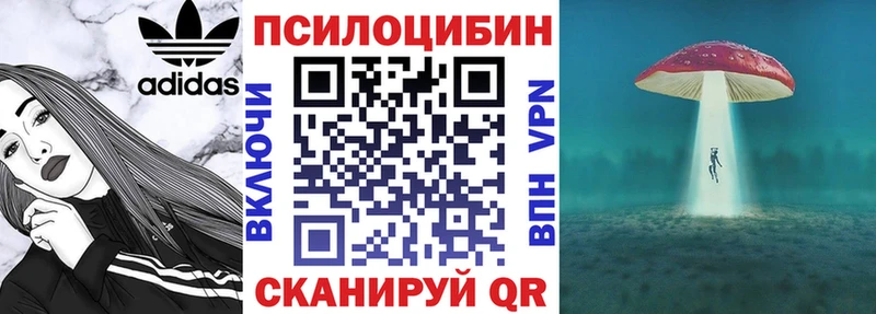 Псилоцибиновые грибы Psilocybe  Купить закладки  Полесск 