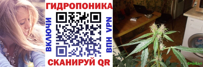 Купить  Полесск  Бошки Шишки OG Kush 